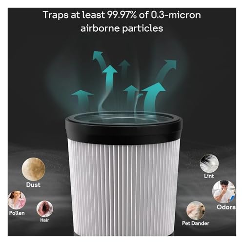 AgaShi 4pcs Washable & Reusable HEPA Filter for Fabuletta FSV001/FSV101 Vacuums - Ideal for Families with Allergies in