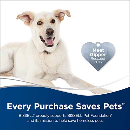 Bissell Featherweight Stick Lightweight Bagless Vacuum for Cleaning All Floors, One Size Fits All, Blue | Bissell Feath