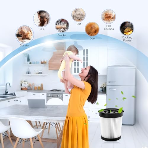 Fabuletta FSV001 Replacement Filter Compatiable with Fabuletta FSV001, FSV101, Girnoor G160 and G165 Afoddon A38 Cordles