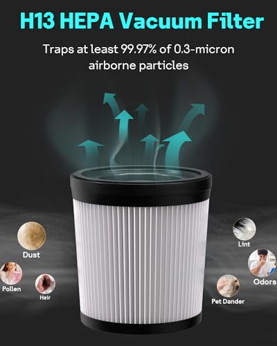 Leemone HEPA Filter Compatiable with Fabuletta FSV101 & FSV001 for Efficient Allergen Removal, Ideal for Indoor Use | L