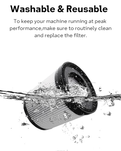 Leemone HEPA Filter Compatiable with Fabuletta FSV101 & FSV001 for Efficient Allergen Removal, Ideal for Indoor Use | L