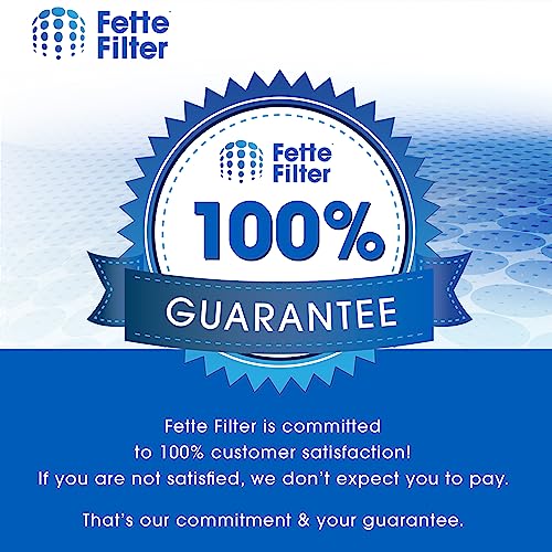 Fette Filter FSV001 Hepa Filter Replacement - Fabuletta, Girnoor, Afoddon Compatible, Premium Material, Pack of 4, Vacuu