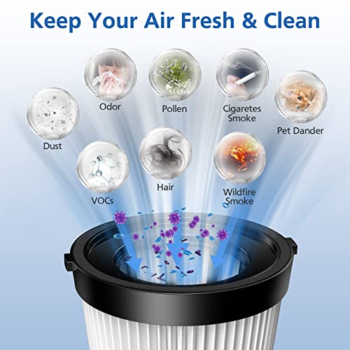 Fabuletta FSV101, FSV001 6 Pack FSV001 HEPA Filter for Cordless Stick Vacuums, Neotropic Users, Home Cleaning, High Eff